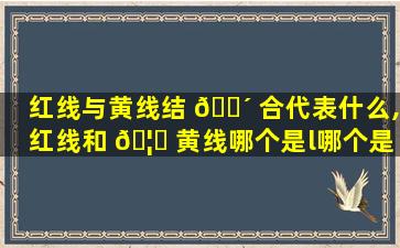 红线与黄线结 🌴 合代表什么,红线和 🦉 黄线哪个是l哪个是l1